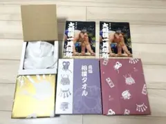 Item thumbnail for item 0a112ddb-d3b1-48db-b401-0207302bad6c