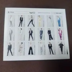 SnowMan THE BEST 特典 衣装コレクションカード ラウール