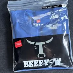 Hanes BEEFY-T クルーネック Tシャツ XS 1枚ヘビーウェイトT