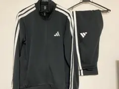 ジャージ上下 m