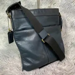 Item thumbnail for item 6a6c45dd-741b-4fbe-bdc5-d7f3d9db0bc6