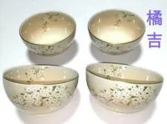 Item thumbnail for item 26c38d2b-54df-481b-a6b5-2bfe730a33fd