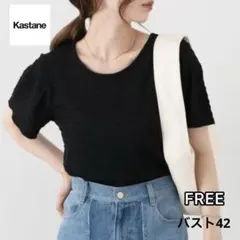 Kastane カスタネ カットジャガードTシャツ カットソー ブラック フリーのサムネイル