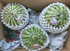 特値。和歌山ひとりじめ紅小玉スイカ3玉入総重量 約2.5 前後。のサムネイル