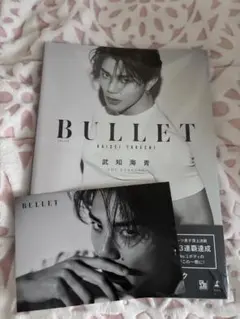 BULLET 武知海青 写真集