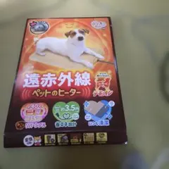 Item thumbnail for item 991f09b3-78ca-488e-91c1-0489c212f703