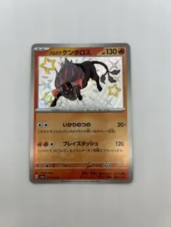 【ハイクラスパック シャイニートレジャーex】パルデアケンタロス s