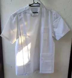 Item thumbnail for item 95ab3b33-cb12-4b7b-8dbc-7c8d0c4da100