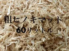 Item thumbnail for item c1ddd787-121b-4ec6-a6c0-52f449f56280