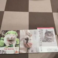 猫の写真集 3冊セット まとめ売り