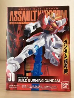 ASSAULT KINGDOM 30 ビルドバーニングガンダム