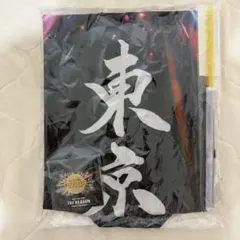 EXILE THE REASON アプグレグッズのサムネイル