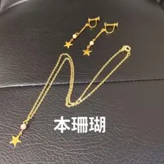 本珊瑚ネックレスとイヤリングセット