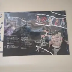 Novelbright ポストカード 14枚セット サイン Novelbright ポストカード 14枚セット サイン