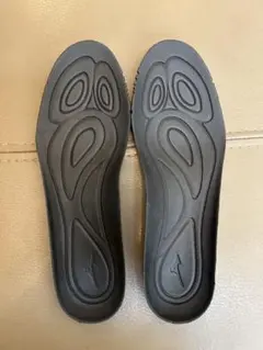 新品未使用　Mizuno モナルシーダ NEO III インソール　23.5