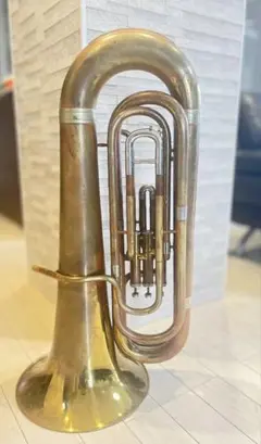 2025年最新】NIKKAN マウスピースの人気アイテム - メルカリ