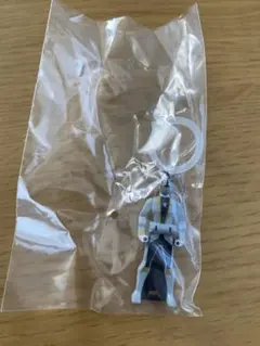 スーパー戦隊 めじるしアクセサリー レンジャーキー ゴーカイシルバー