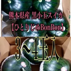 熊本県産 黒小玉スイカ ひとりじめBonBon (5～6玉入) - メルカリ