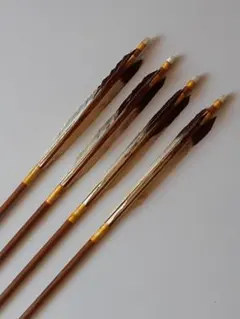美品】染め抜き黒鷲尾羽 2014 バンブージュラ 105cm 弓道 矢 - メルカリ