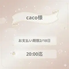 coca様専用