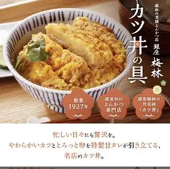 銀座梅林 カツ丼の具 180g×2食入 ✖️4袋　冷凍食品のサムネイル