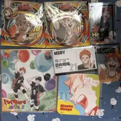 ハイキュー 日向翔陽 24点セット