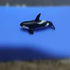 Item thumbnail for item 483a7122-62c7-4e13-b99e-25353f5ccce0