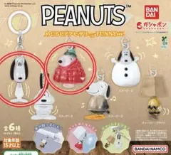 PEANUTS めじるしアクセサリー FUNNYver.＊ スヌーピー A.C