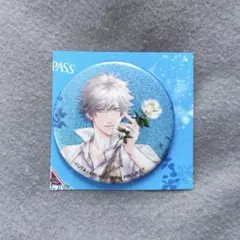 蘭丸 アニパス 全サー 缶バッジ