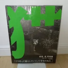 猫 : Tokyo wild cats