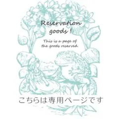 ひろちゃん様専用ページ