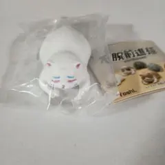 【未使用】不服前進猫 マスコット 白　猫 ガチャ