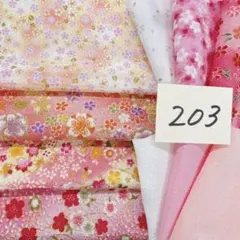 203 ちりめん