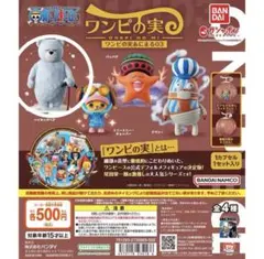 ワンピの実 アニメ