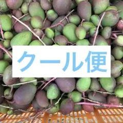 訳アリ 9kg 青マンゴー 摘果マンゴー 中サイズ 30〜100g - メルカリ