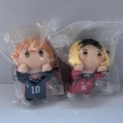 一番くじ　ハイキュー　D賞　ちょこのっころんぬいぐるみ　日向翔陽　孤爪研磨