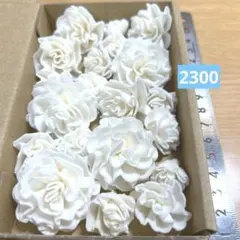 ソラフラワー　2300