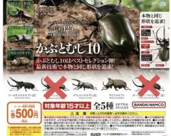 いきもの大図鑑　かぶとむし10 まとめ
