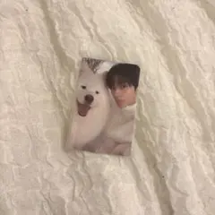 tws タレントカード