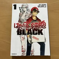 Item thumbnail for item e525ad34-dfa9-4715-8417-11d80dc34dd4