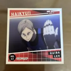 ハイキュー 灰羽リエーフ