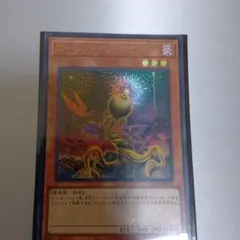 ローンファイア・ブロッサム