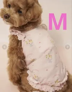 オーダー ハンドメイド クッキーアンステラルーコスチュームアイス