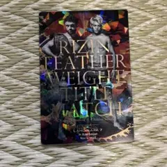 Item thumbnail for item b8563831-b52d-48df-9fdf-22663c48c885