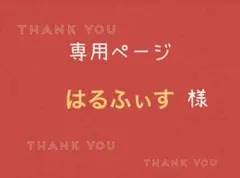 はるふぃす様専用ページです。