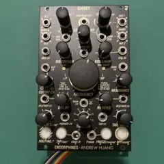 After Later Audio nRINGS / ringsクローン - メルカリ