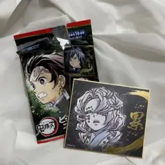 鬼滅の刃　ビジュアル色紙コレクション　累