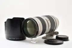 NIKON AF-S 300mm F2.8 D ED ライトグレー Y3974 - メルカリ