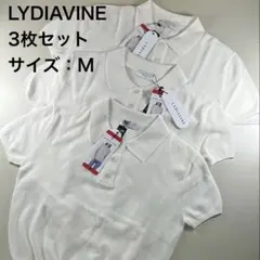 Item thumbnail for item 32026d36-050c-40f1-9b72-21a9b24c5c3c