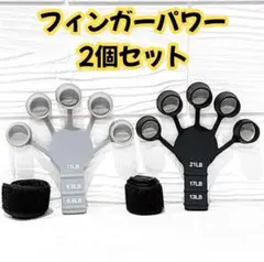 フィンガーパワー 2個セット 筋力トレーニング パワーグリップ 握力鍛錬